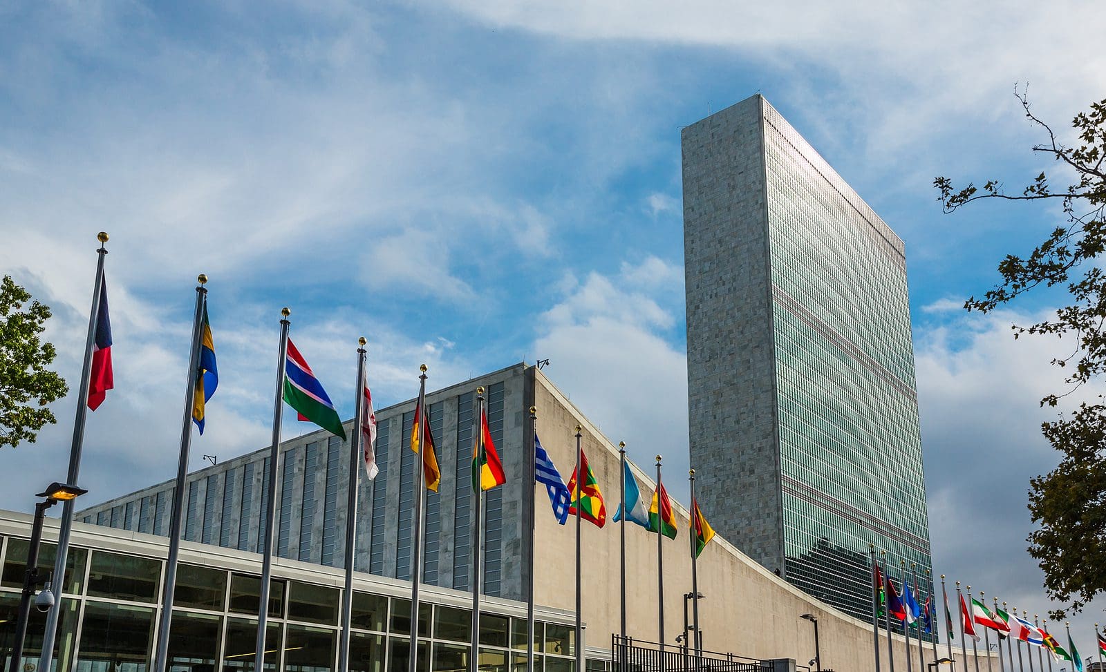 What the United Nations Needs to Become